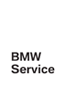 BMW Mini Service